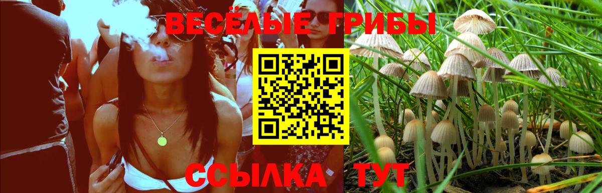 Моздок  Галлюциногенные грибы прущие грибы  Вход с VPN 