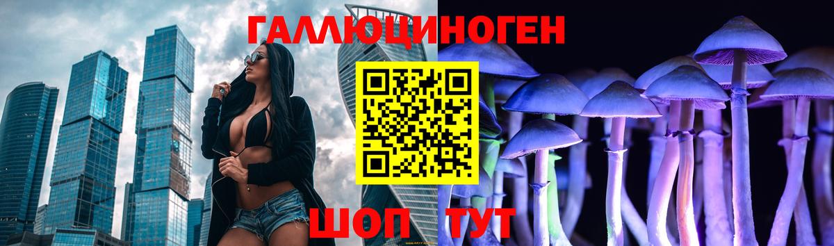 Галлюциногенные грибы Psilocybe Моздок